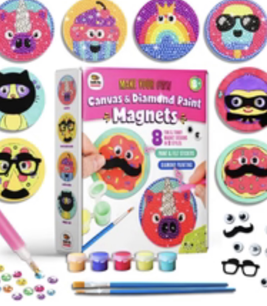 Magnet Making Kit