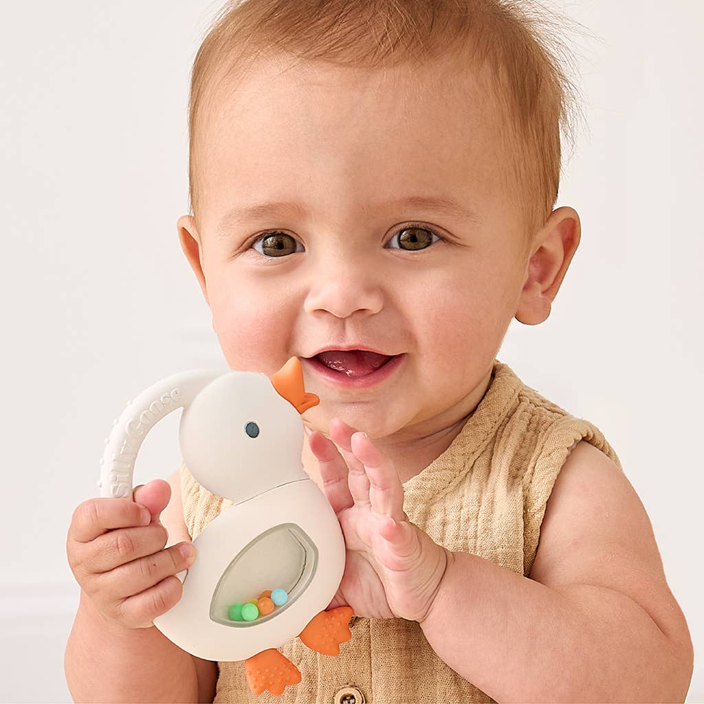 Bitzy Shake™ Teether Rattle