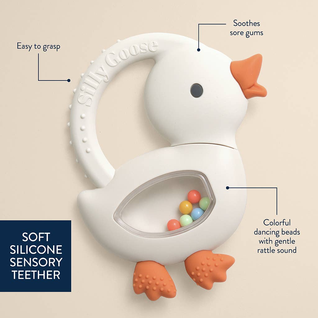 Bitzy Shake™ Teether Rattle